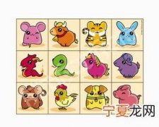 潮汕12生肖歌谣 潮汕十二生肖歌