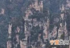 流程图怎么画 程序流程图怎么画