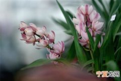 宿迁鲜花烘焙店在哪里 宿迁 鲜花
