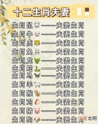 12生肖婚配最佳 12生肖的最佳婚配组合