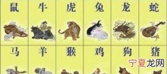 12生肖奇偶数 十二生肖奇数是什么肖