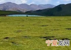 怎么和女孩子聊天 和女孩子聊天开头讲解
