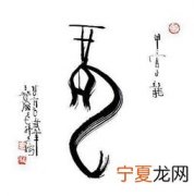 12生肖甲骨字 12生肖的甲骨文文字