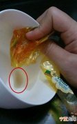 怎么清洗白色陶瓷杯的污垢