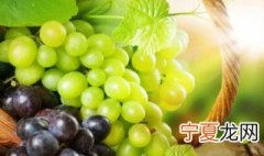 青葡萄可以酿葡萄酒吗 青葡萄酿酒好喝吗