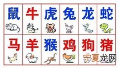 12生肖对象匹配 十二生肖里面的配对是否合适能信吗?