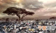 白色垃圾是指什么 白色垃圾介绍