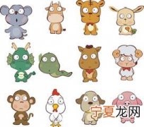 12生肖国王生日 十二生肖过生日