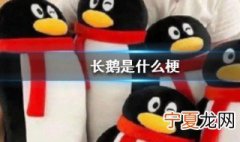 长鹅什么梗 长鹅是什么意思