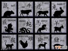 大人猜12生肖 大人指什么动物