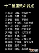 12生肖星座歌曲 我想听十二生星座