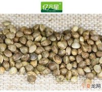 胡麻仁与火麻仁的区别是什么
