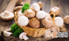 蘑菇的储存方法和注意事项 怎样储存蘑菇和注意事项