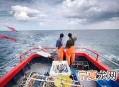 出海捕鱼要注意什么 出海捕鱼身体有要求吗