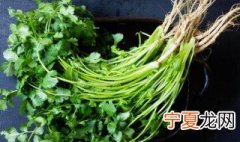 新鲜香菜如何长期保存 新鲜香菜长期保存的方法介绍