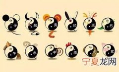 12生肖动物乐队 十二生肖组曲