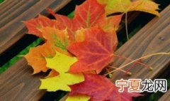 有关秋天发朋友圈的句子 关于秋风发朋友圈的句子