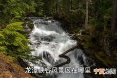 龙潭谷12生肖 龙潭是什么生肖
