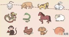 12生肖亥猪照片 十二生肖里面的亥猪怎么写