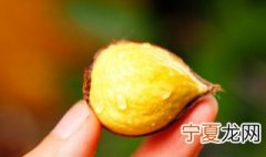 板栗怎么剥皮才好剥 板栗怎么剥皮好剥