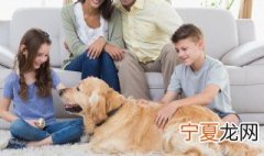 关于逗小孩子开心的句子 关于逗小孩子开心的句子短句
