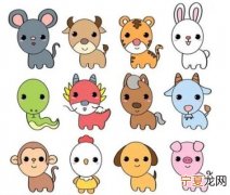 12生肖简易画图 12生肖简图绘画教学