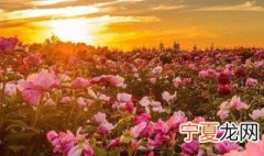 1月再见2月你好句子大全 1月再见2月你好句子大全