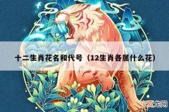 12生肖排花名 十二生肖花名花图