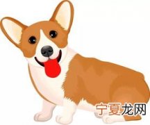 狗和12生肖 十二生肖狗和什么合得来?