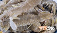 皮皮虾怎么保存两天 活皮皮虾隔天吃怎么保存