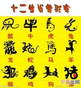 12生肖成熟表现 十二生肖的成语大全 十二生肖顺序