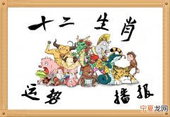12生肖救世大业 救世主指什么动物