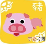 梦见12生肖属猪 梦见猪的幸运数字
