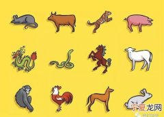 12生肖骷髅怪 骷髅指的是什么动物