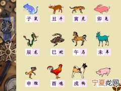 梦见12生肖物品 梦见十二生肖是什么预兆
