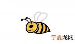 怎么让蜜蜂飞出房间 让蜜蜂飞出房间的做法