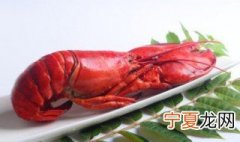 大龙虾煮多久能熟 大龙虾要煮多长时间熟