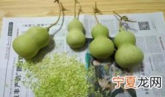小葫芦盘玩要先去皮吗 葫芦盘之前要去皮吗