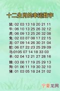 12生肖运势数字 十二生肖信运数字