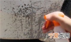 车漆上的水渍如何去掉 怎么去除车漆上的水渍