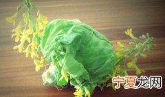 卷心菜开了花 卷心菜会开花吗