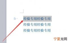 WPS应该如何才可以将字体进行安装