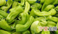 辣椒长棉铃虫如何处理 辣椒长棉铃虫怎么治