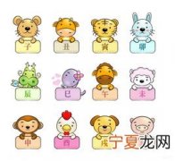 12生肖动物脚印 十二生肖动物的脚