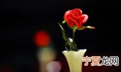 捧花怎么保存久一点 捧花如何保存久一点