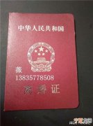 离婚证内容是什么样板 离婚证的