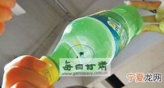 绿头苍蝇怎么消灭，青头苍蝇怎么消灭