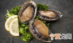 活鲍鱼怎么储存在冰箱 活鲍鱼储存在冰箱的方法