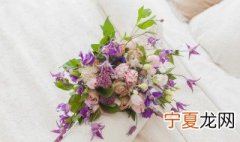 生日送什么鲜花 生日送什么鲜花好
