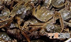 活大闸蟹如何保存 活大闸蟹怎么保存
